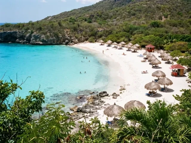 Grote Knip